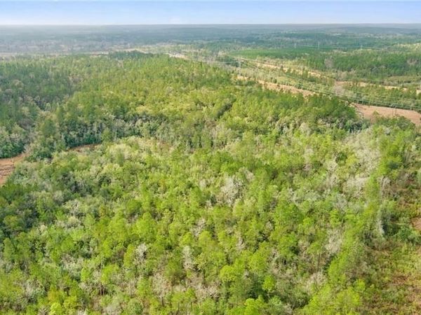 0 Andry Road , Mount Vernon, AL 36560