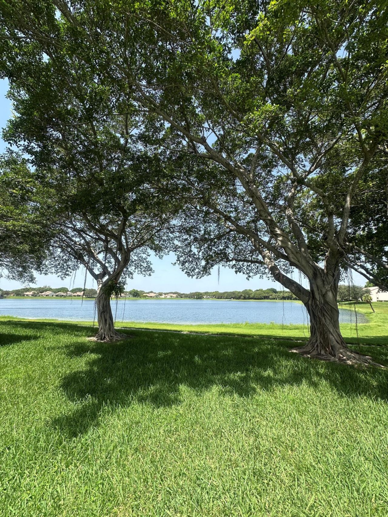 321 Olivewood Place, Unit 121, Boca Raton, FL 33431 Photo