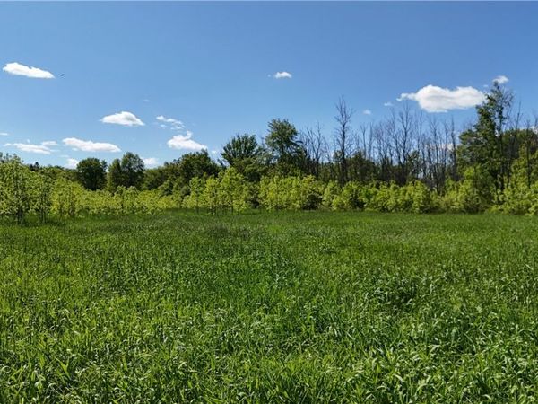 Dredge Ditch Road , Conewango Valley, NY 14726