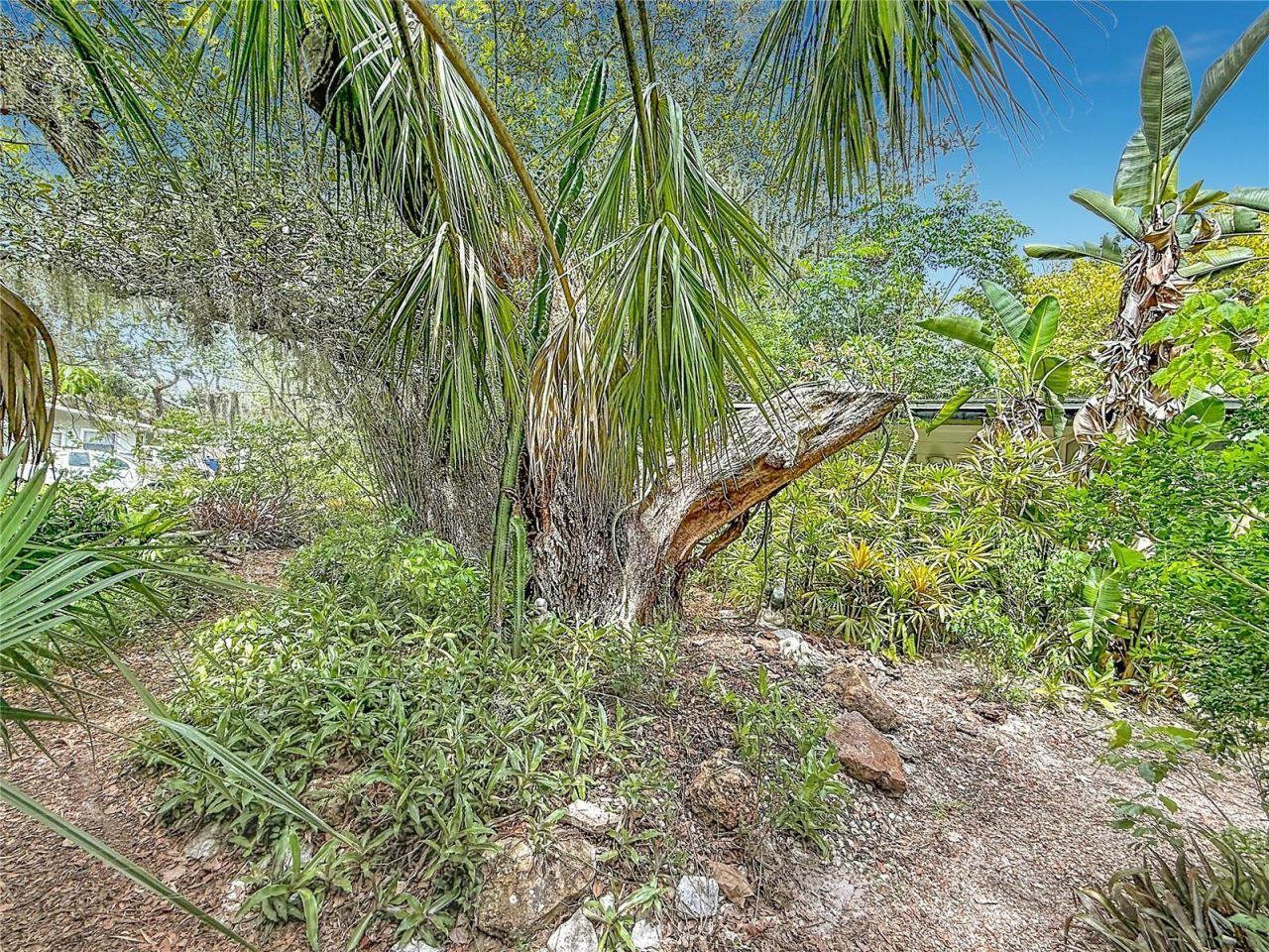6330 Emerson Avenue S, Saint Petersburg, FL 33707 Photo