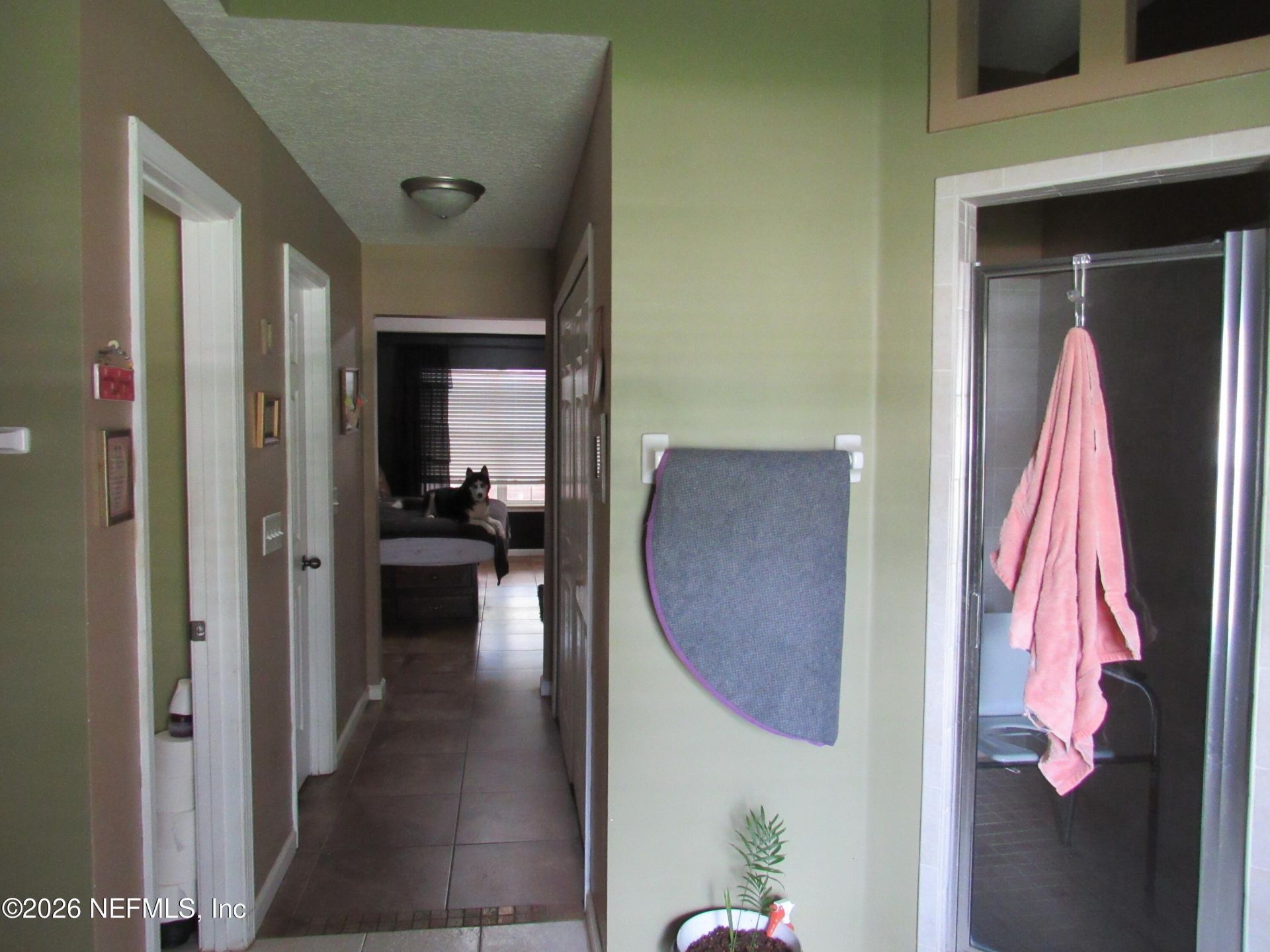 3280 Gay Road, Orange Park, FL 32065 Photo