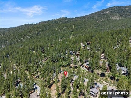 557 Knotty Pine Drive, Incline Village, NV 89451 Photo