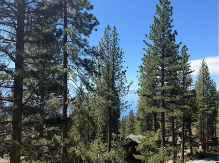 557 Knotty Pine Drive, Incline Village, NV 89451 Photo