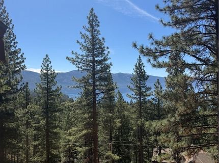 557 Knotty Pine Drive, Incline Village, NV 89451 Photo
