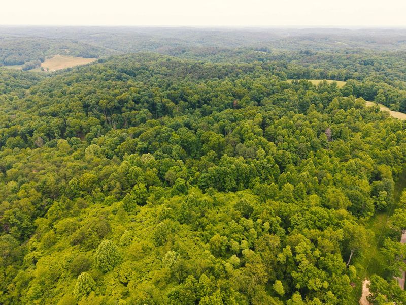 0 Unger Rd, Unit Lot F, Logan, OH 43138 Photo 7
