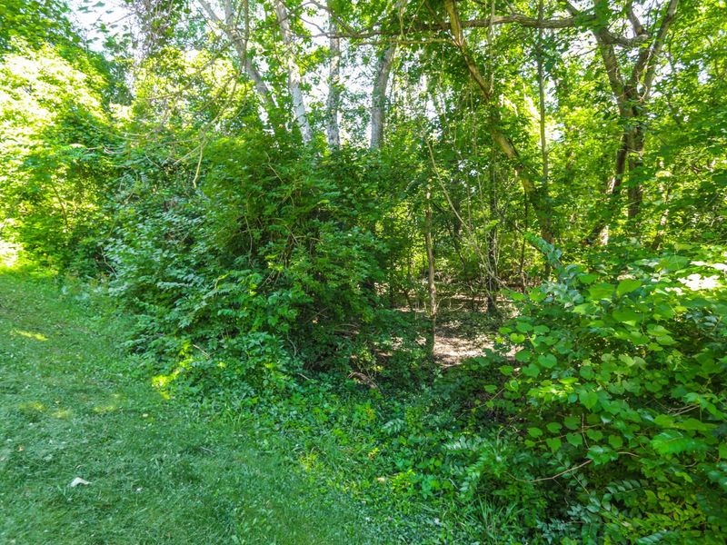 1967 Noble Run Way, Unit 8, Columbus, OH 43229 Photo 47
