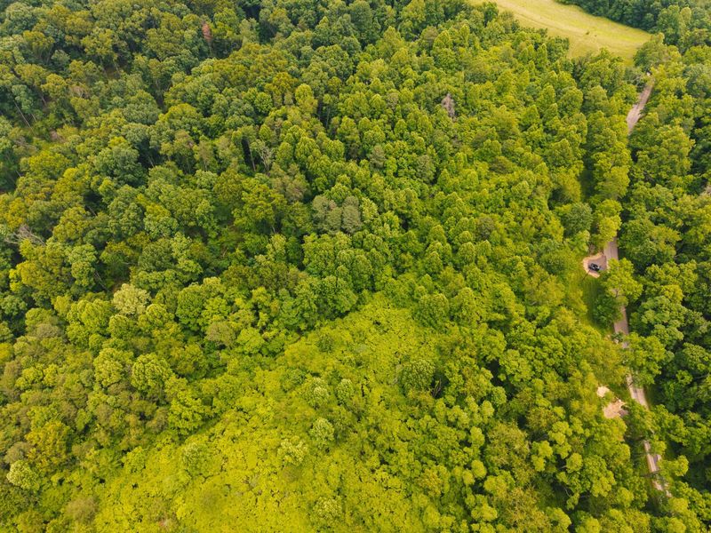 0 Unger Rd, Unit Lot H, Logan, OH 43138 Photo 8