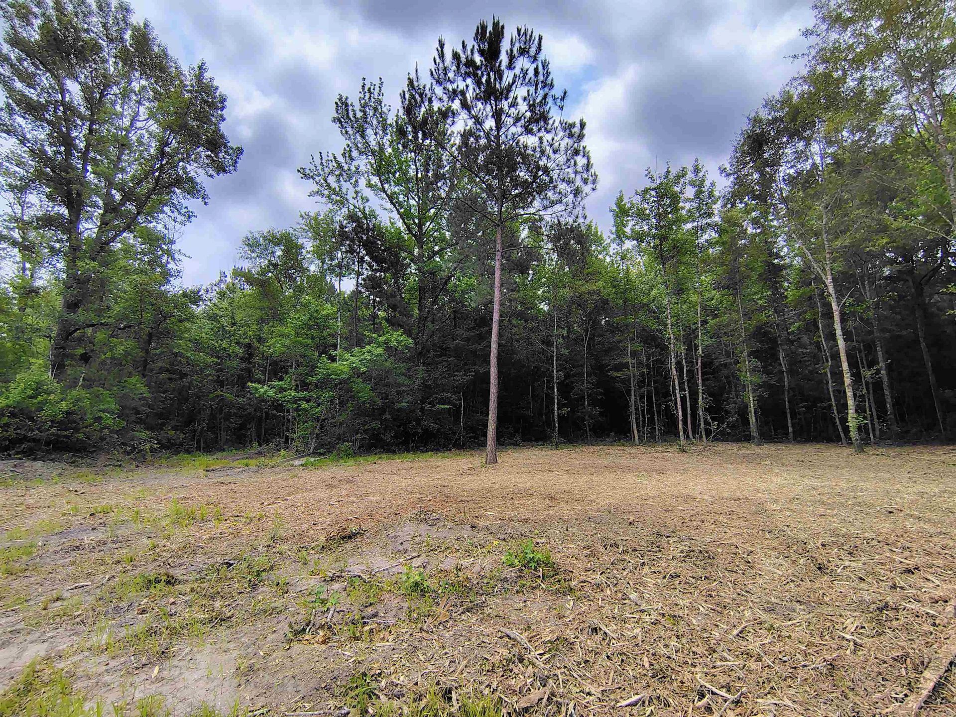 735 Hemingway Rd. Photo 26