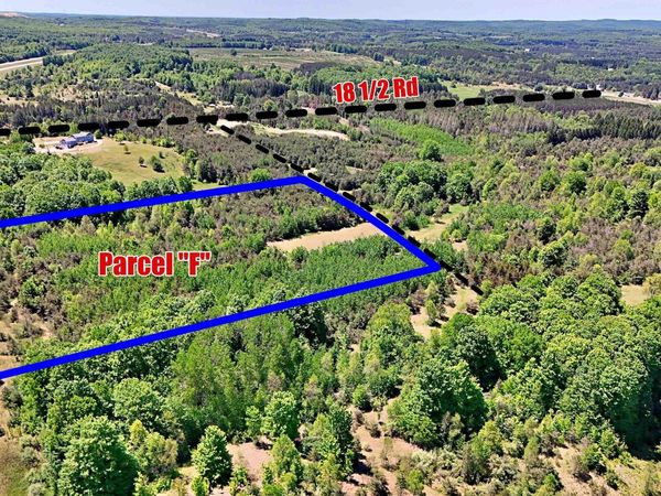 18 1/2 Road E, Manton, MI 49663