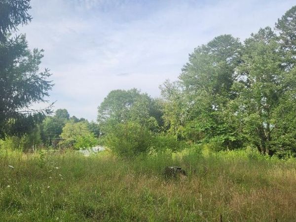 181 51st Avenue, Gruetli Laager, TN 37339