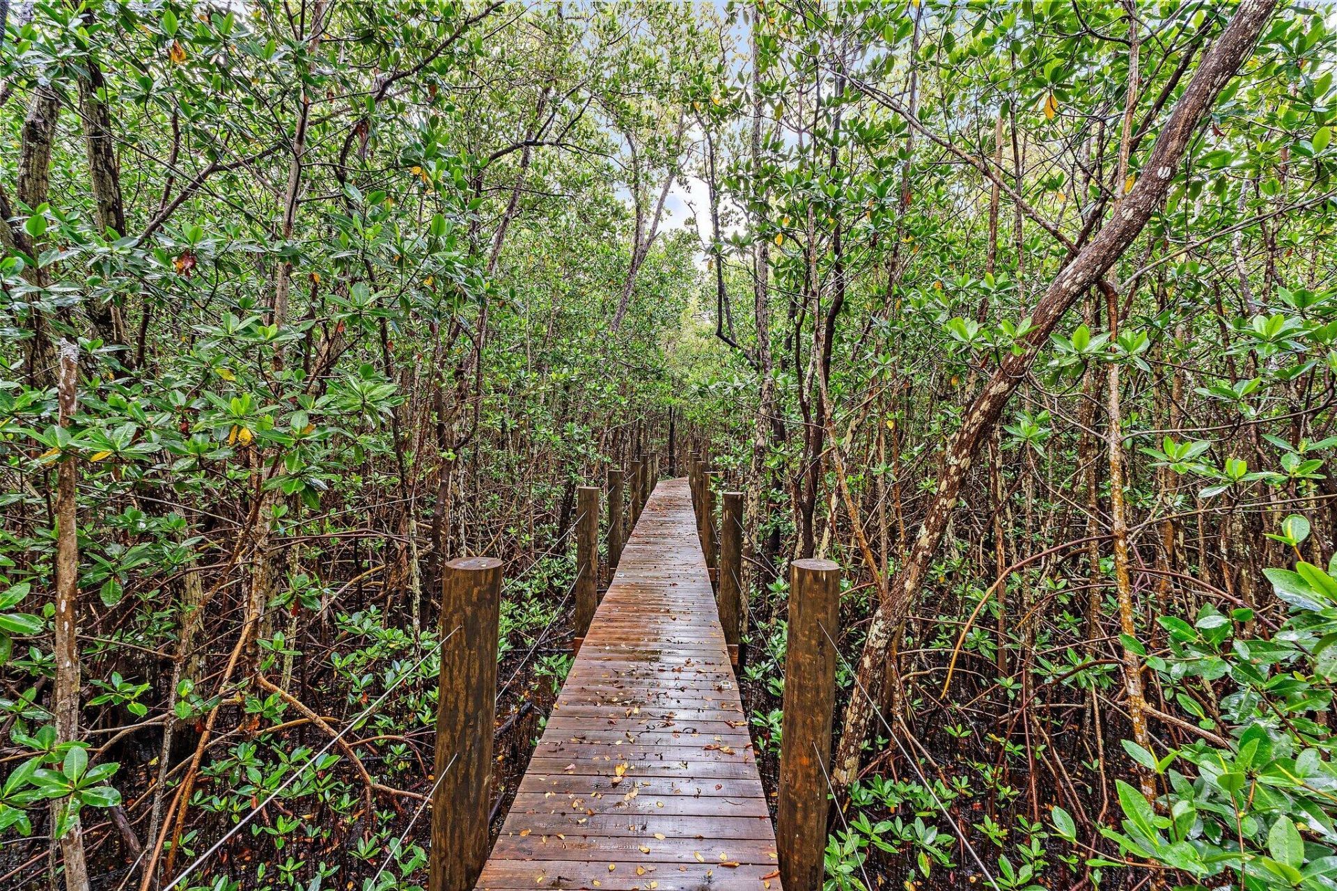 9741 SE Gomez Avenue, Hobe Sound, FL 33455 Photo
