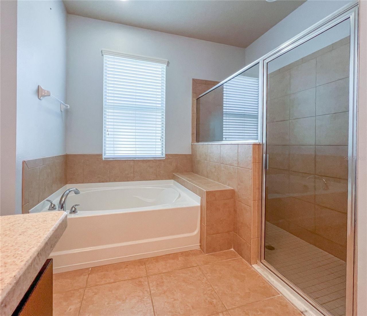 6906 Boulder Run Loop , Wesley Chapel, FL 33545 Photo