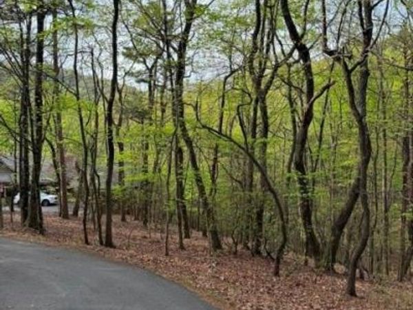 226 Crested Fern Lane , Big Canoe, GA 30143