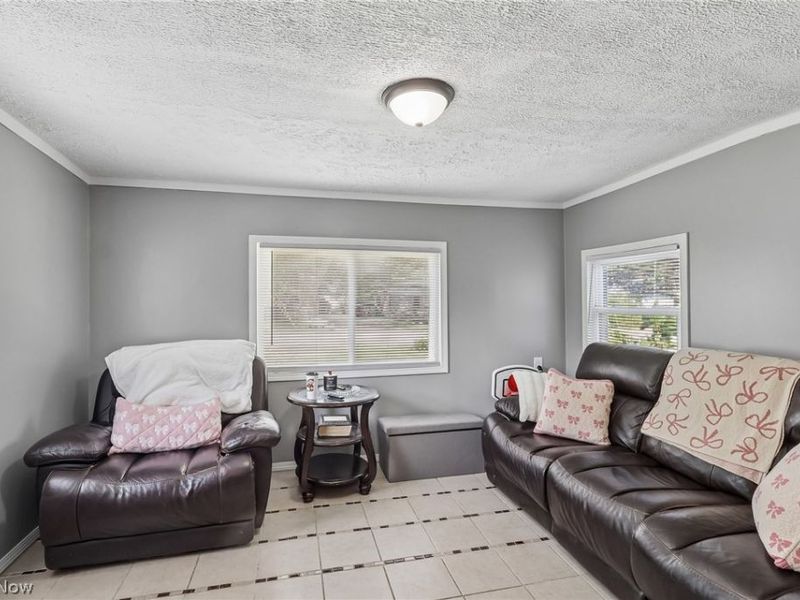 912 Maplewood Avenue, Painesville Township, OH 44077 Photo 8