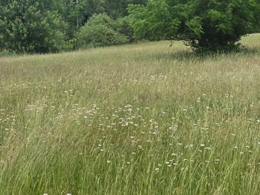 7326 State Route 19 Drive, Unit 8 Lot, Mount Gilead, OH 43338