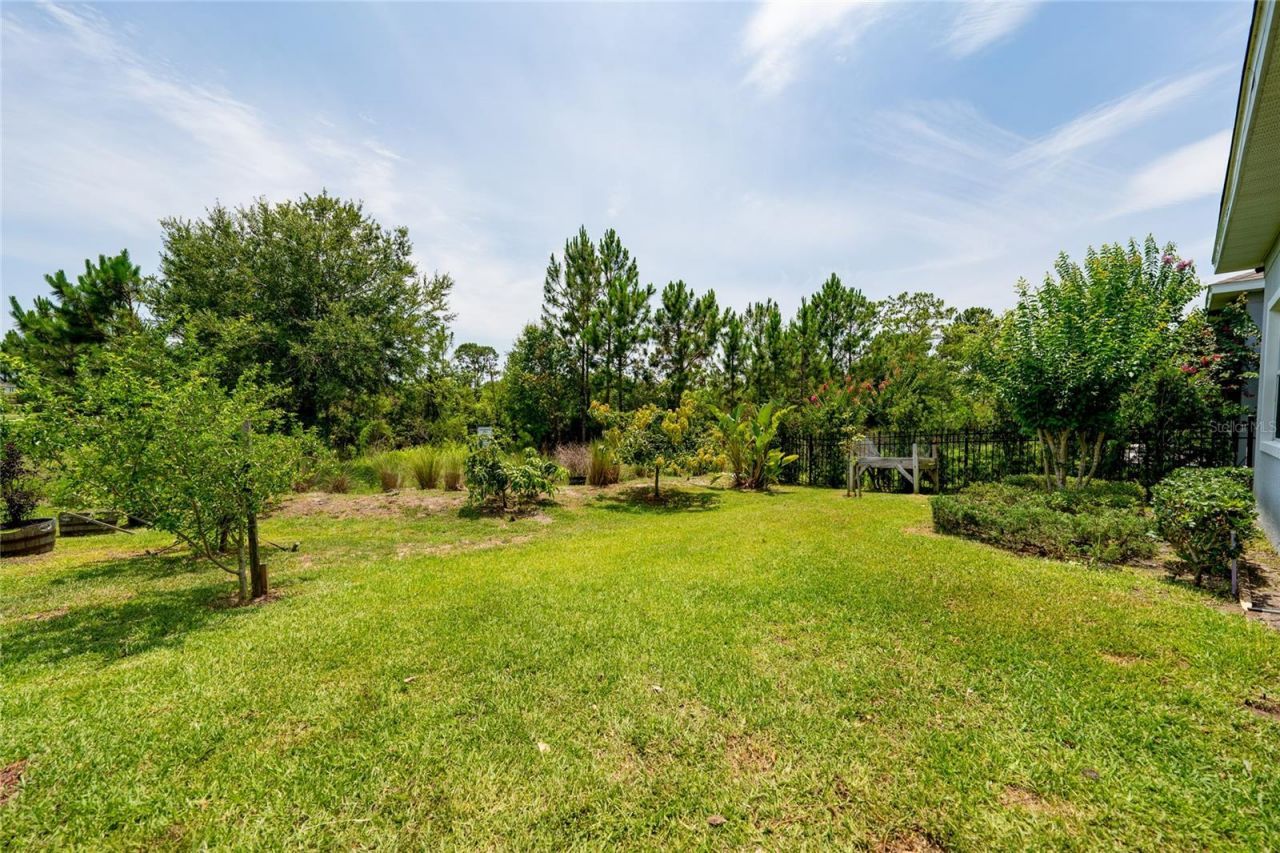 7687 Bowery Drive , Winter Garden, FL 34787 Photo