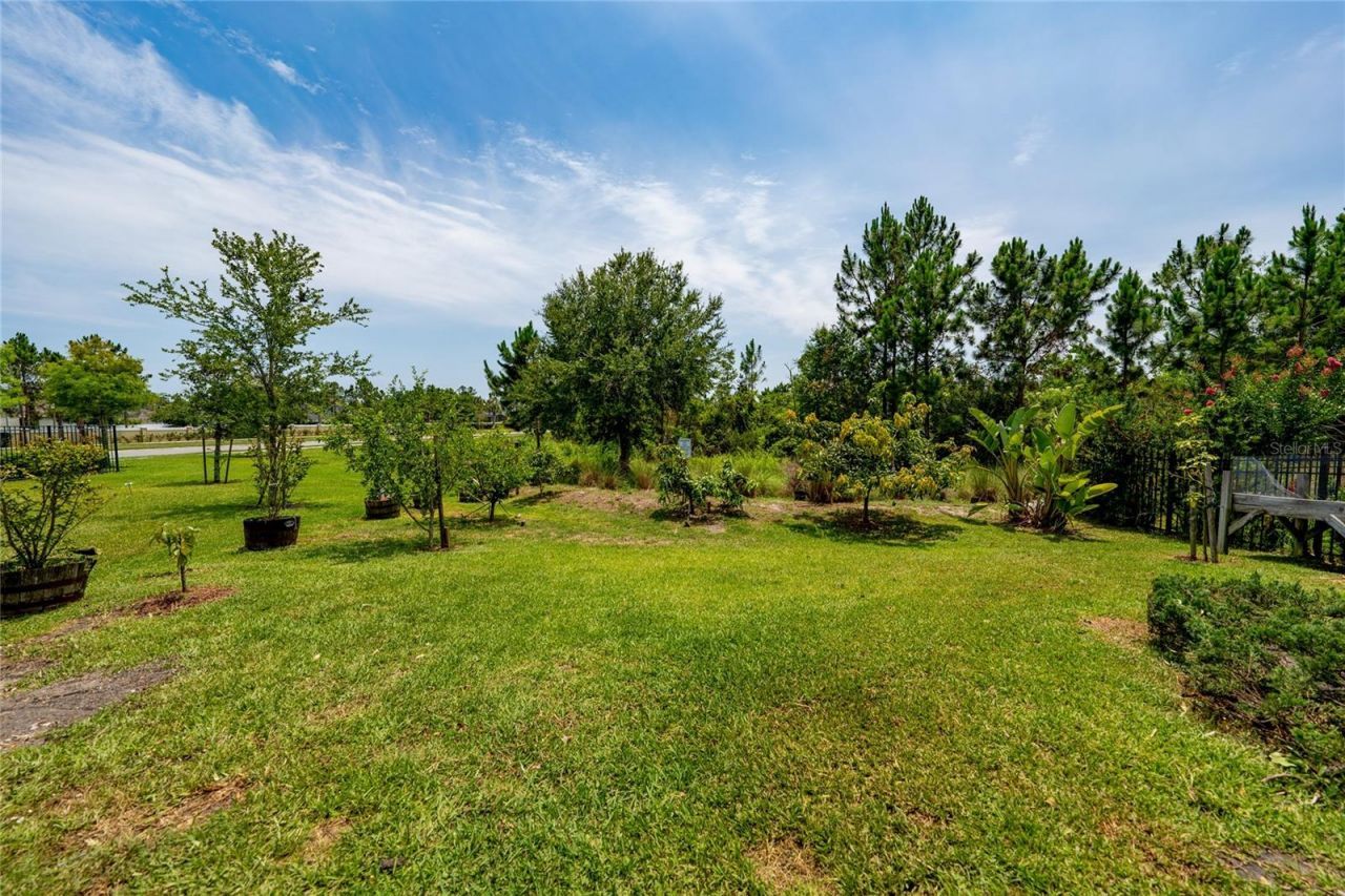 7687 Bowery Drive , Winter Garden, FL 34787 Photo