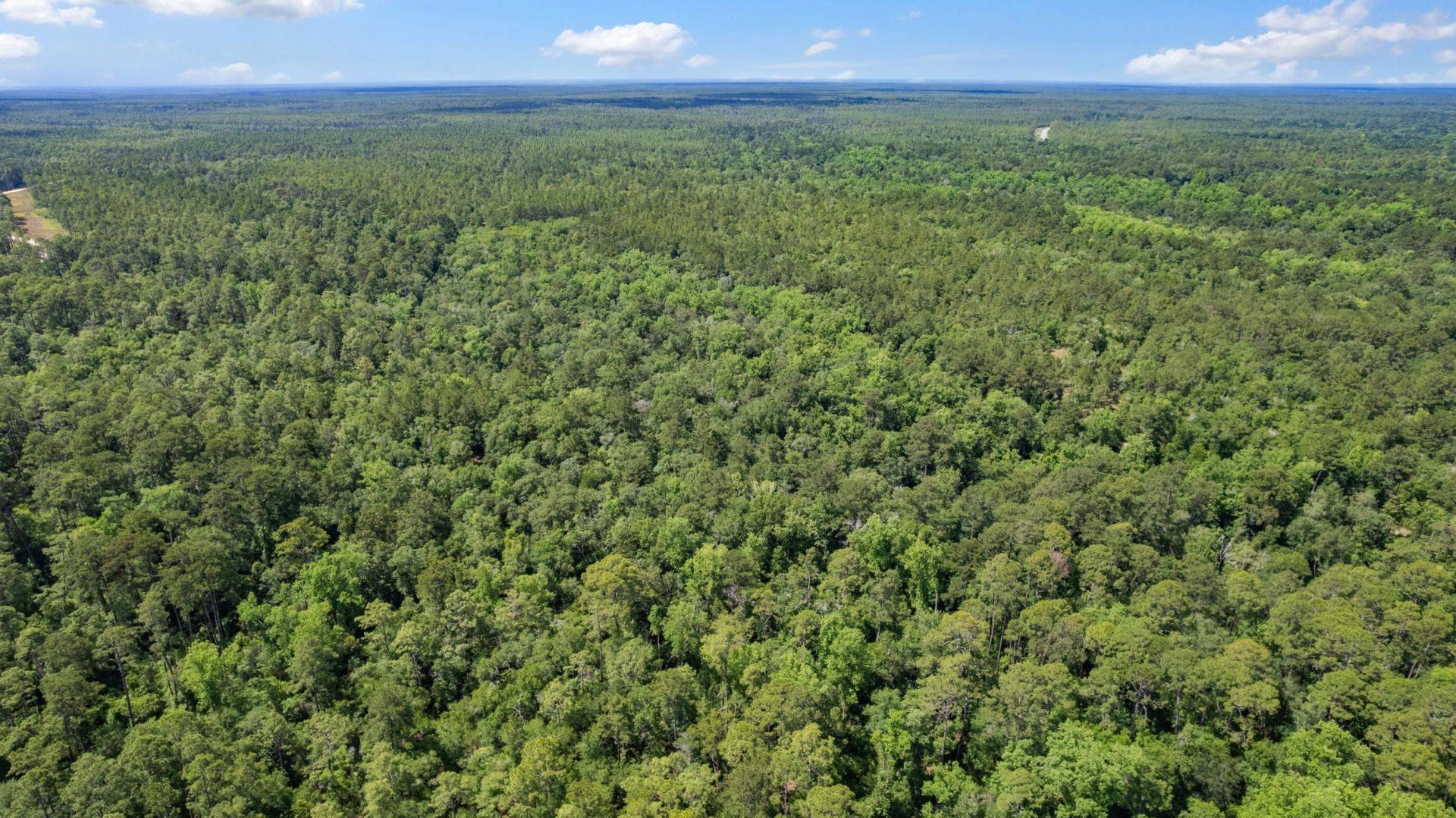 21204 John Ford Lane , Lot #N/A, Tallahassee, FL 32310 Photo