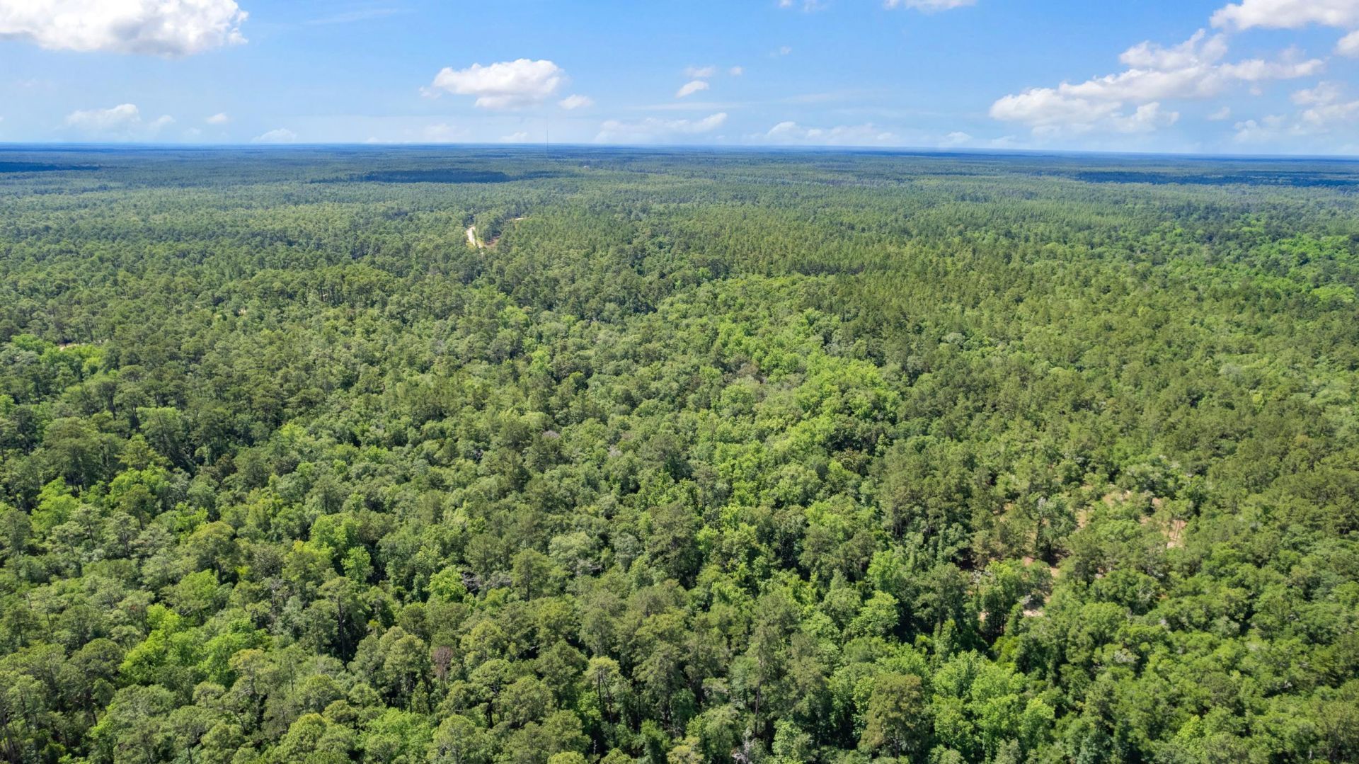 21204 John Ford Lane , Lot #N/A, Tallahassee, FL 32310 Photo
