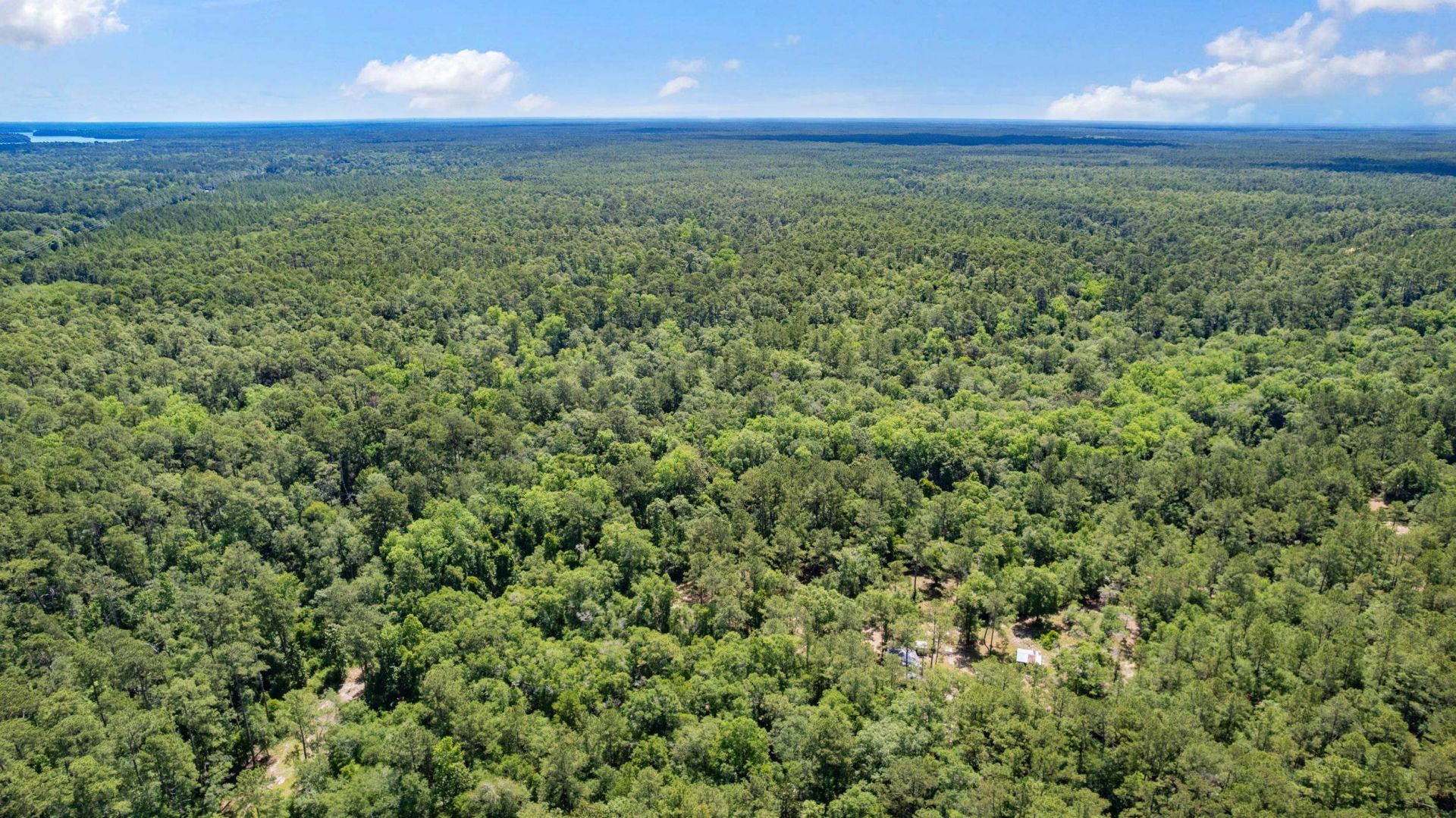 21204 John Ford Lane , Lot #N/A, Tallahassee, FL 32310 Photo
