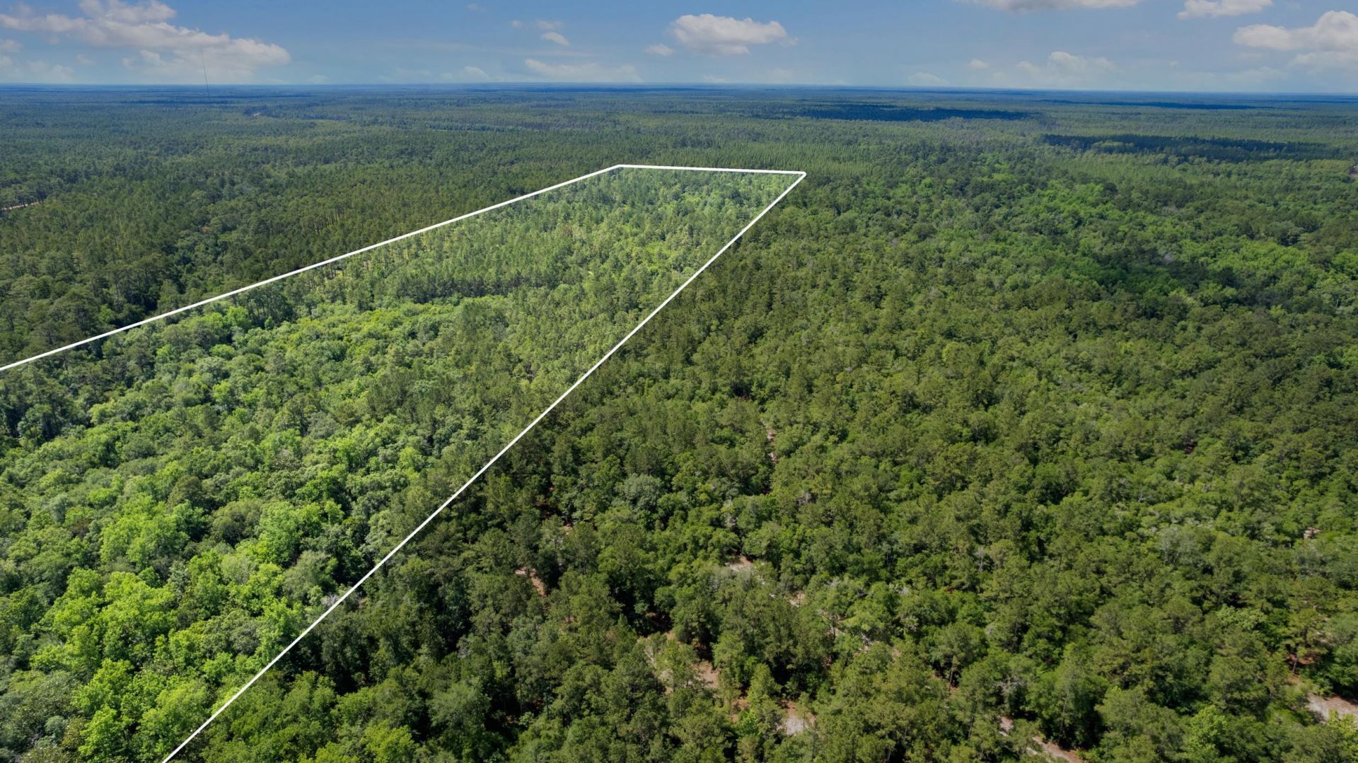 21204 John Ford Lane , Lot #N/A, Tallahassee, FL 32310 Photo