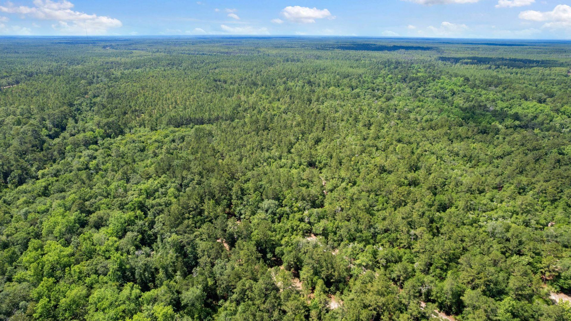 21204 John Ford Lane , Lot #N/A, Tallahassee, FL 32310 Photo