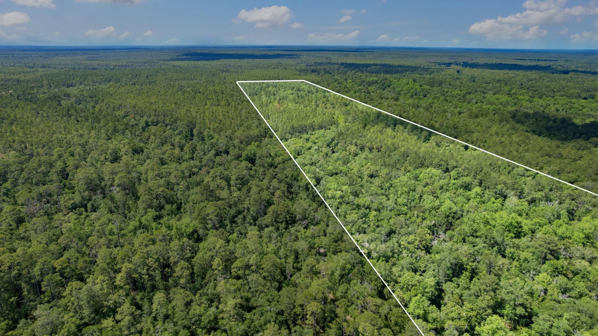21204 John Ford Lane , Lot #N/A, Tallahassee, FL 32310 Photo