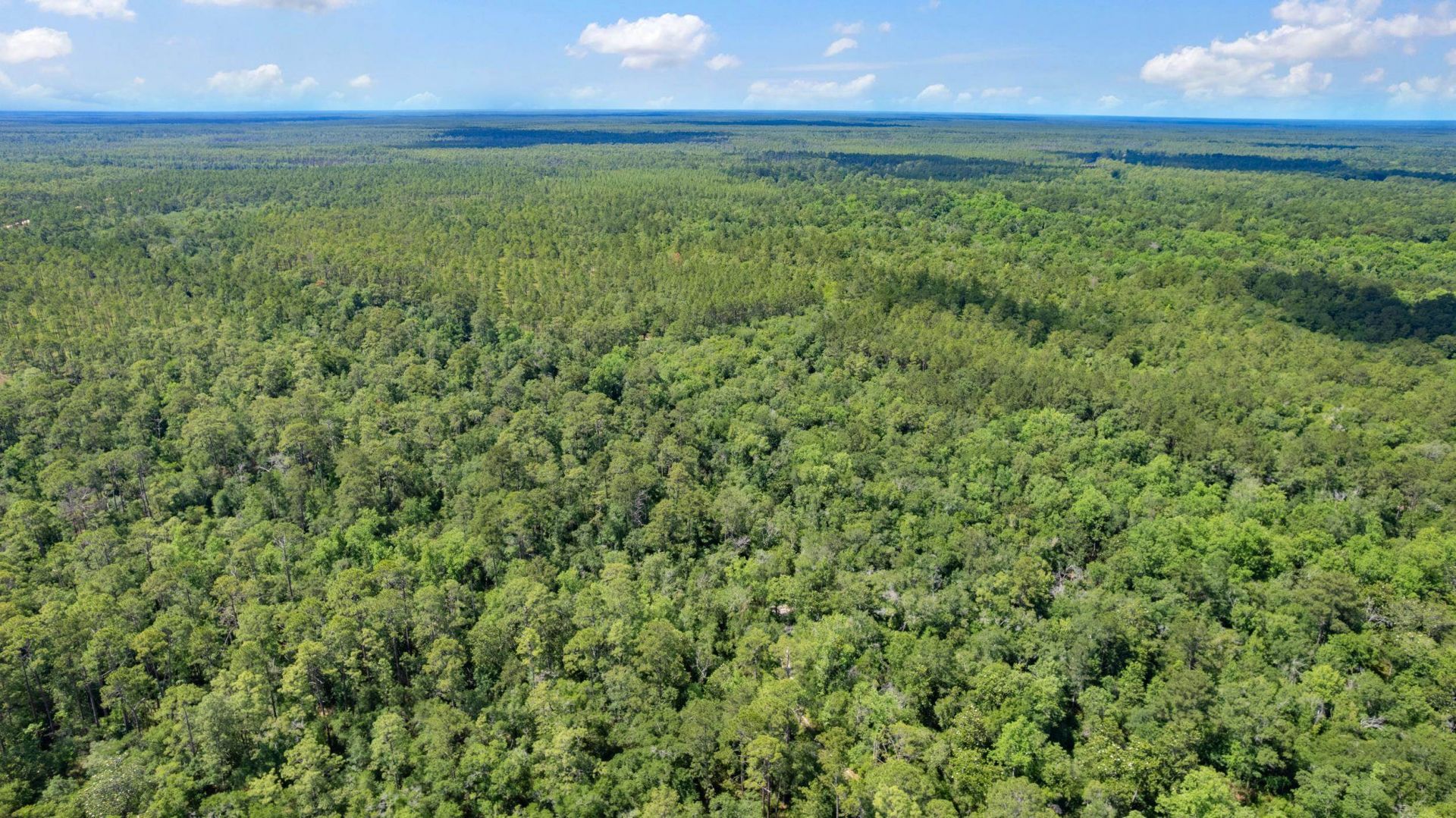 21204 John Ford Lane , Lot #N/A, Tallahassee, FL 32310 Photo