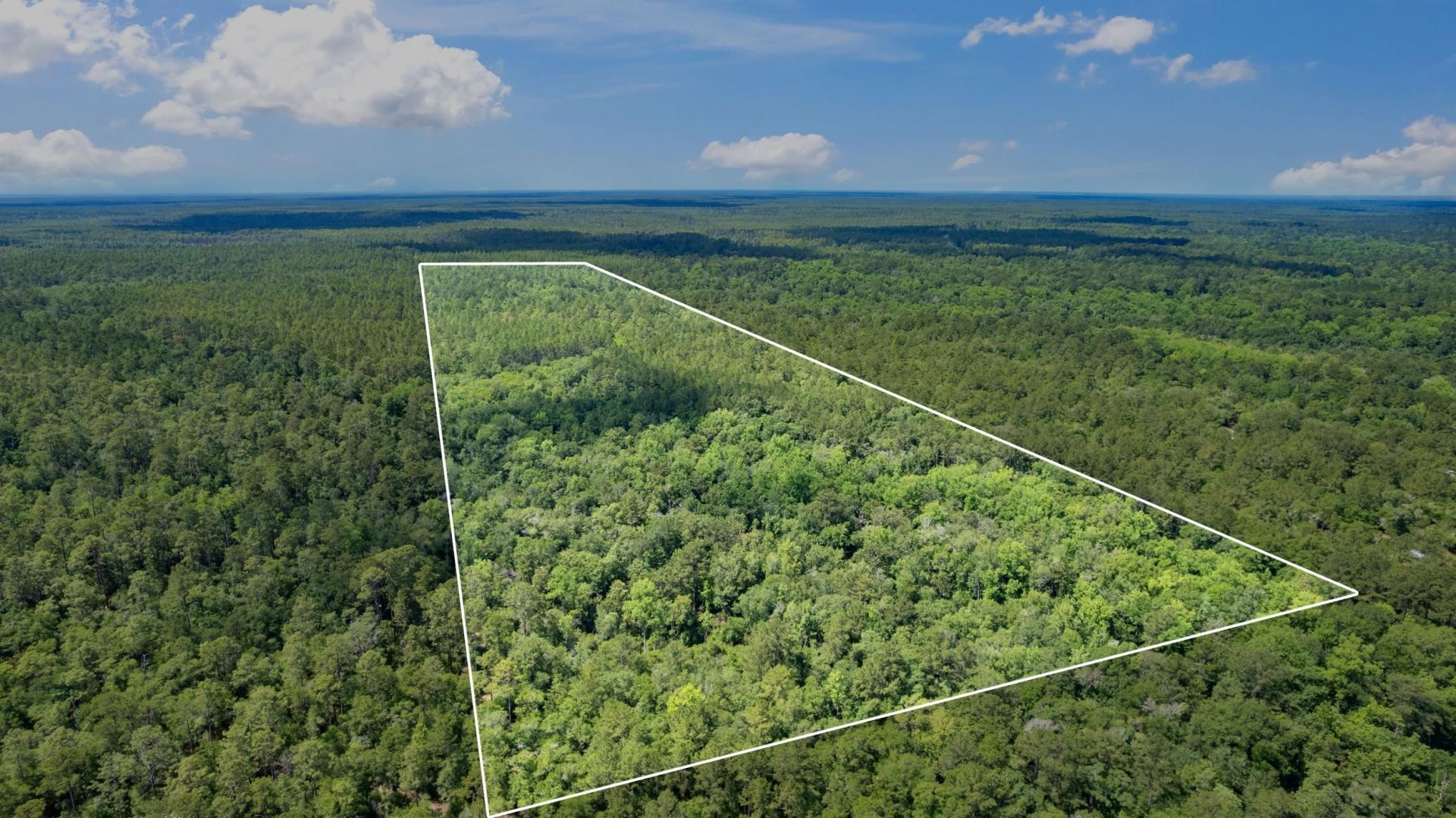 21204 John Ford Lane , Lot #N/A, Tallahassee, FL 32310 Photo