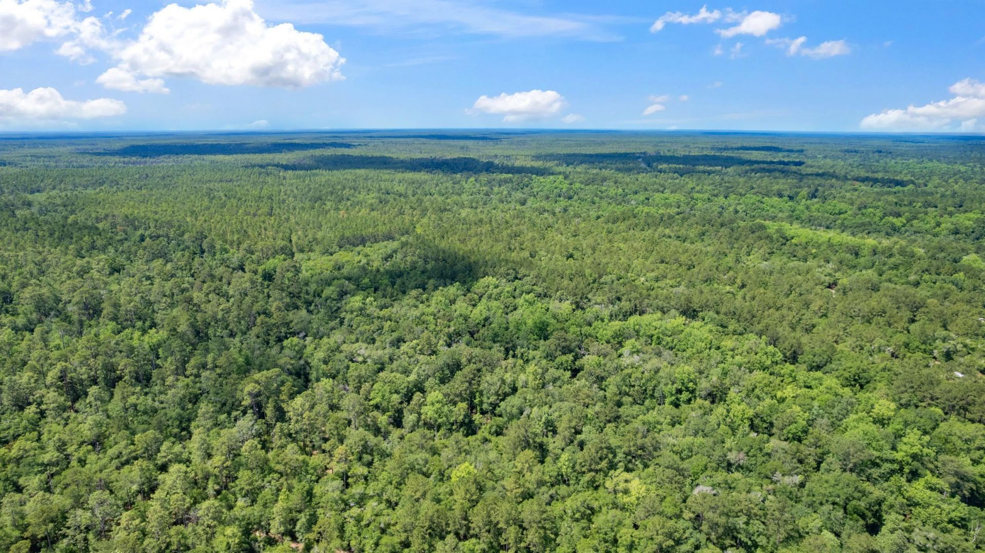 21204 John Ford Lane , Lot #N/A, Tallahassee, FL 32310 Photo