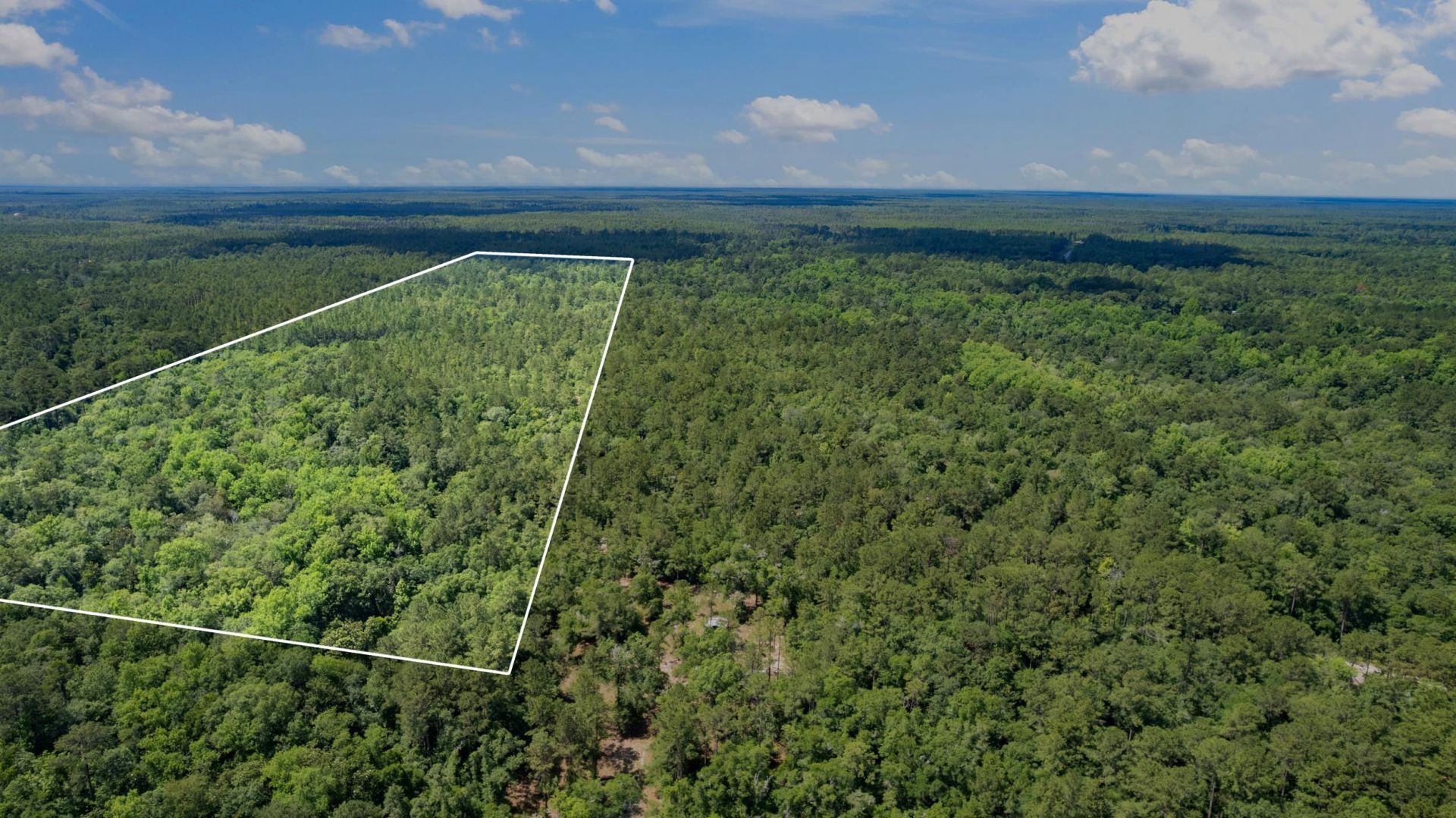 21204 John Ford Lane , Lot #N/A, Tallahassee, FL 32310 Photo