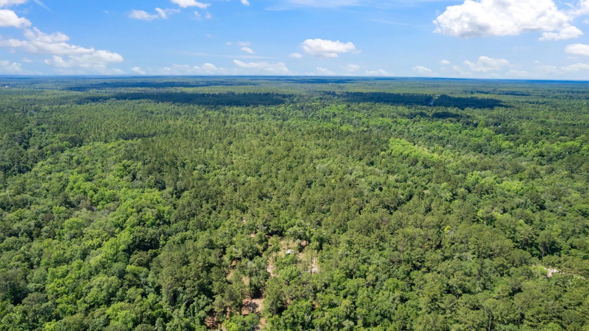 21204 John Ford Lane , Lot #N/A, Tallahassee, FL 32310 Photo