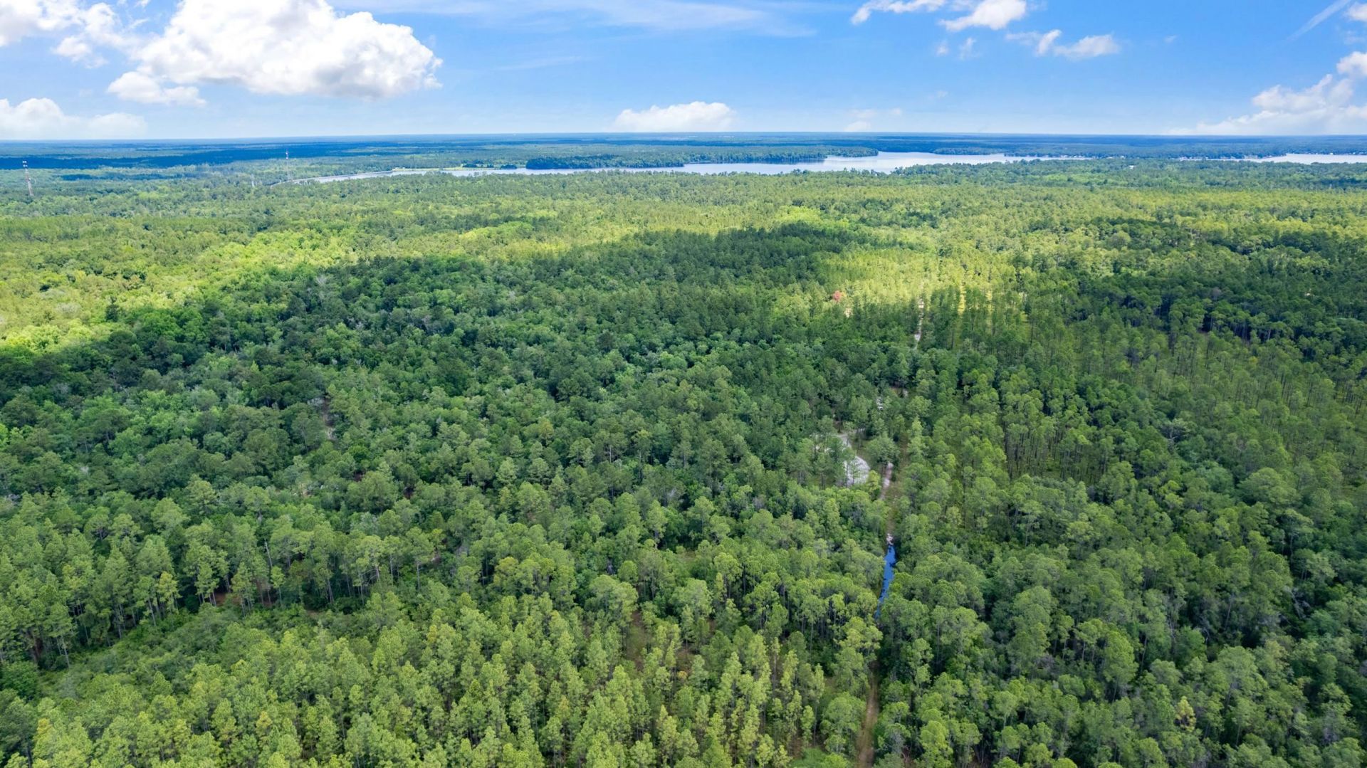 21204 John Ford Lane , Lot #N/A, Tallahassee, FL 32310 Photo