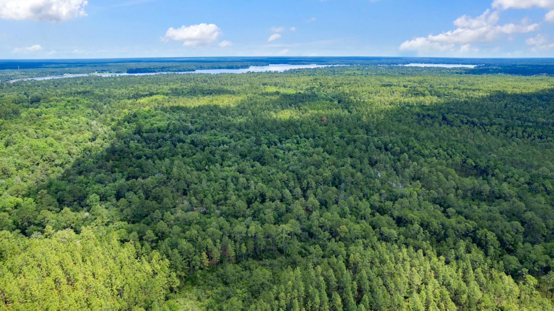 21204 John Ford Lane , Lot #N/A, Tallahassee, FL 32310 Photo
