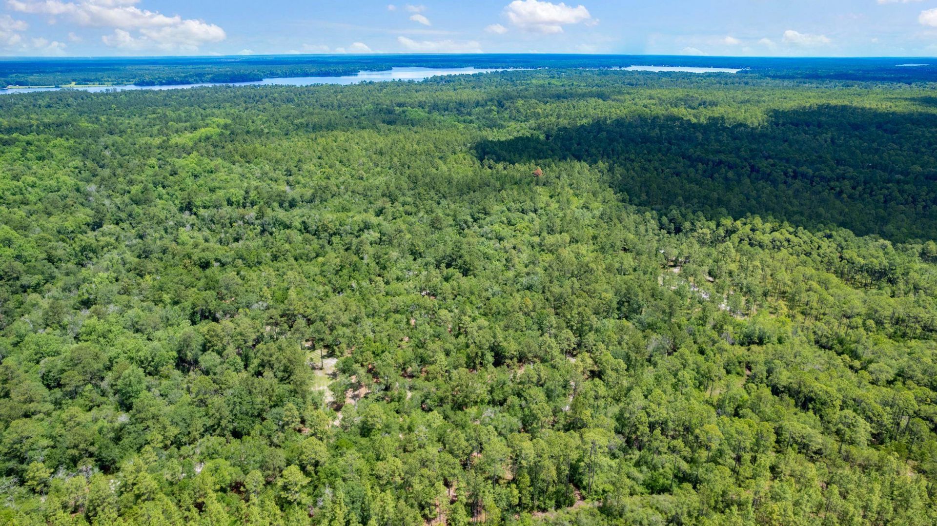 21204 John Ford Lane , Lot #N/A, Tallahassee, FL 32310 Photo