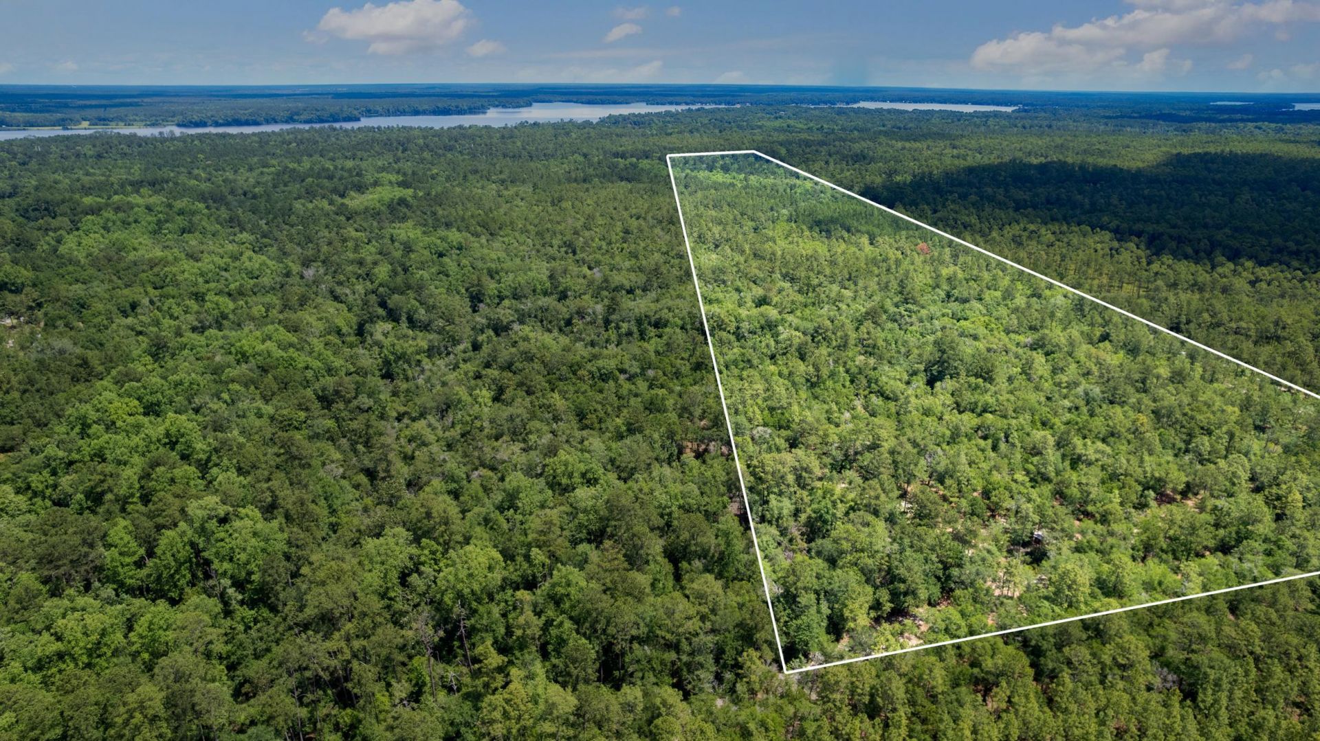 21204 John Ford Lane , Lot #N/A, Tallahassee, FL 32310 Photo