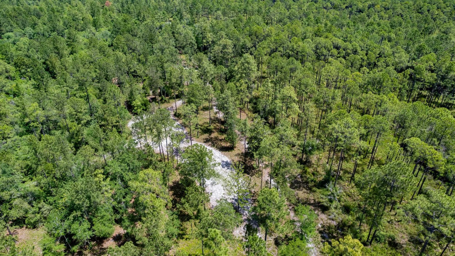 21204 John Ford Lane , Lot #N/A, Tallahassee, FL 32310 Photo