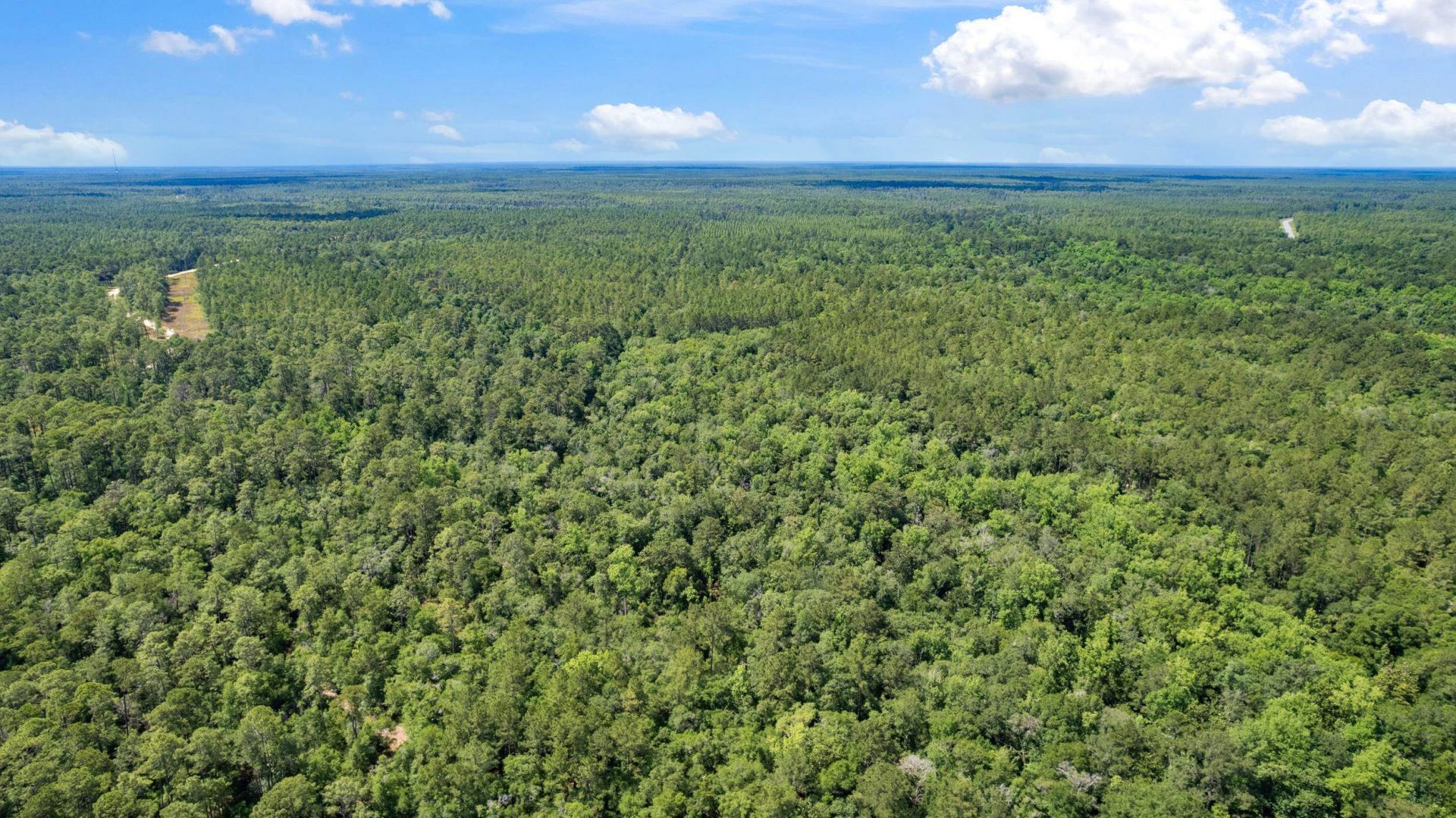 21204 John Ford Lane , Lot #N/A, Tallahassee, FL 32310 Photo