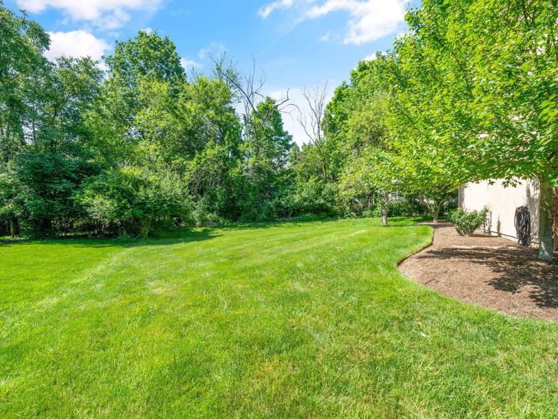247 Donerail Avenue, Powell, OH 43065 Photo 66