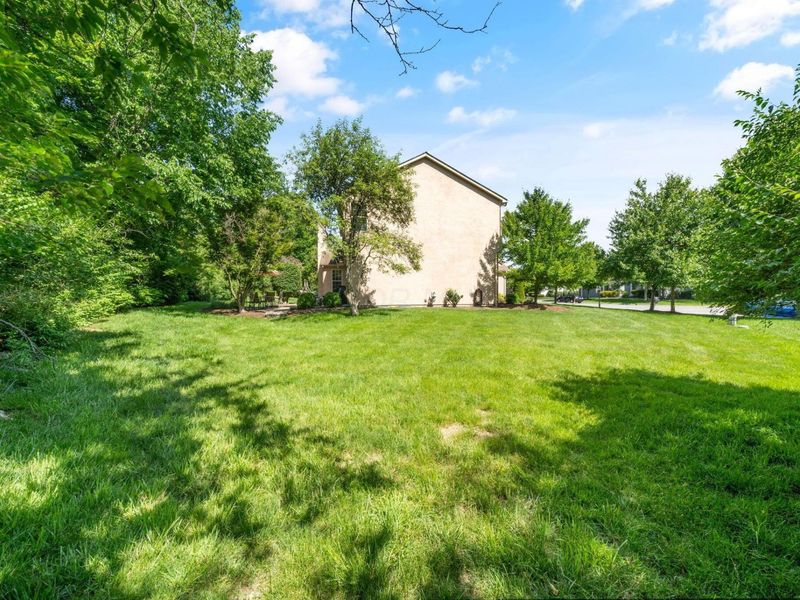 247 Donerail Avenue, Powell, OH 43065 Photo 67