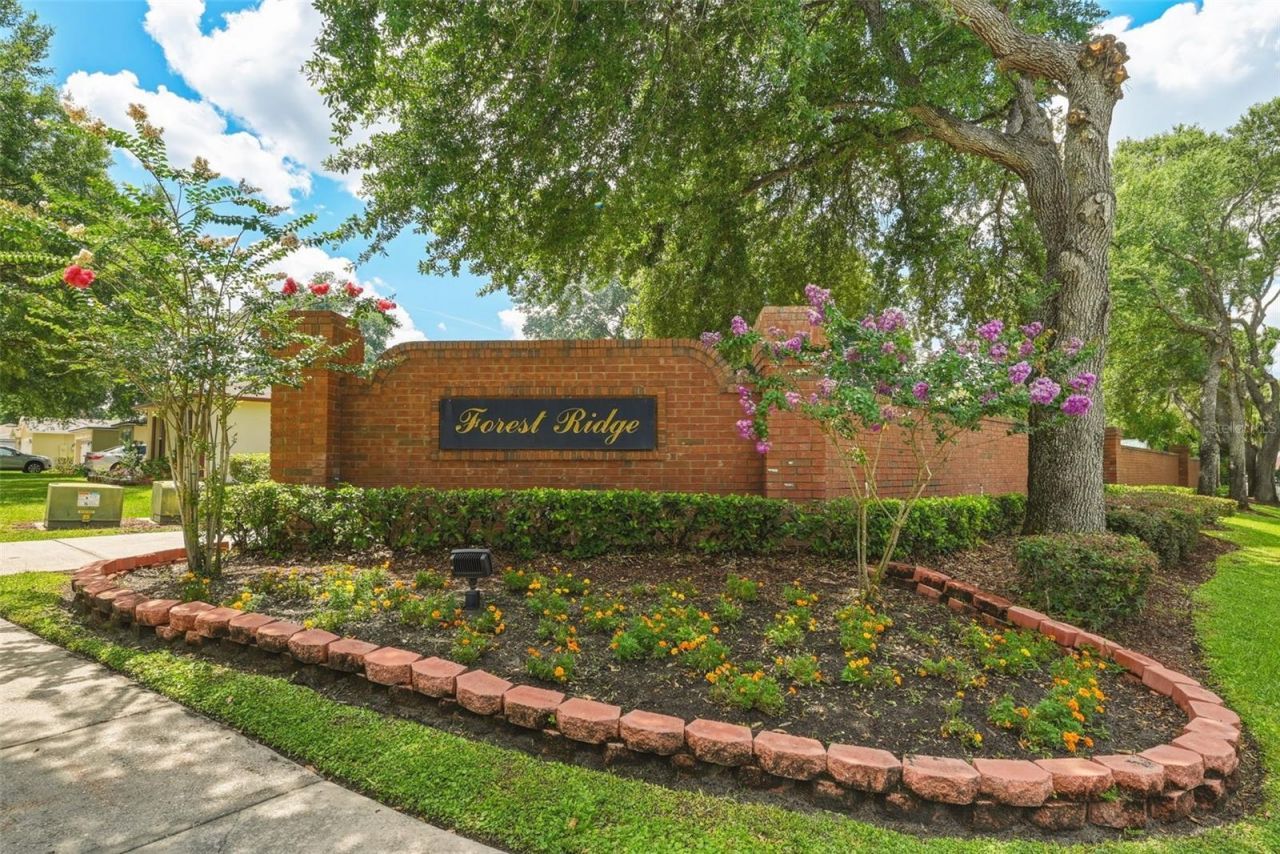 143 Laurel Ridge Avenue, Ocoee, FL 34761 Photo