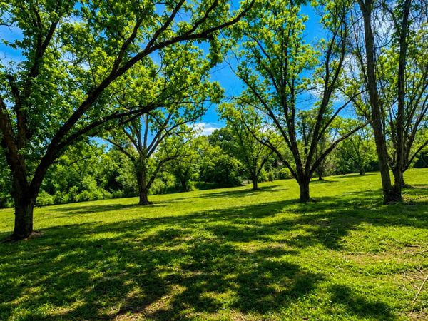 0 Salem Road, Unit 2, Pine Mountain, GA 31822