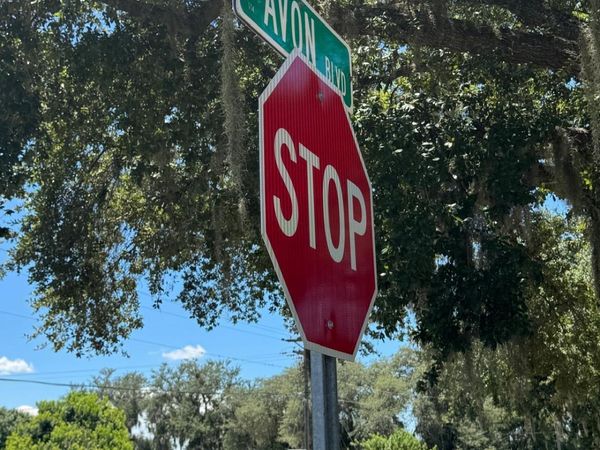 2530 N Todd Road, Avon Park, FL 33825