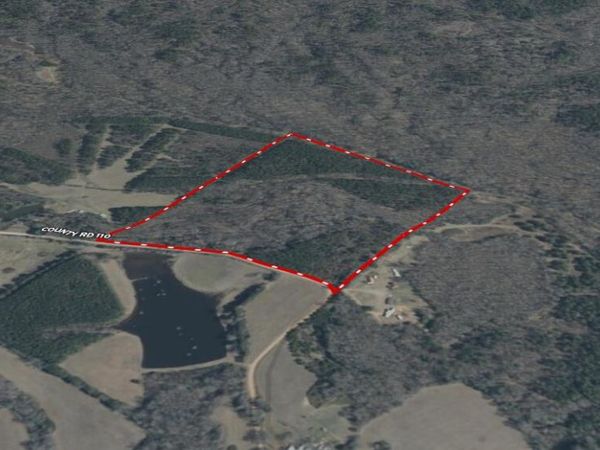 County Road 110, Houston, MS 38851