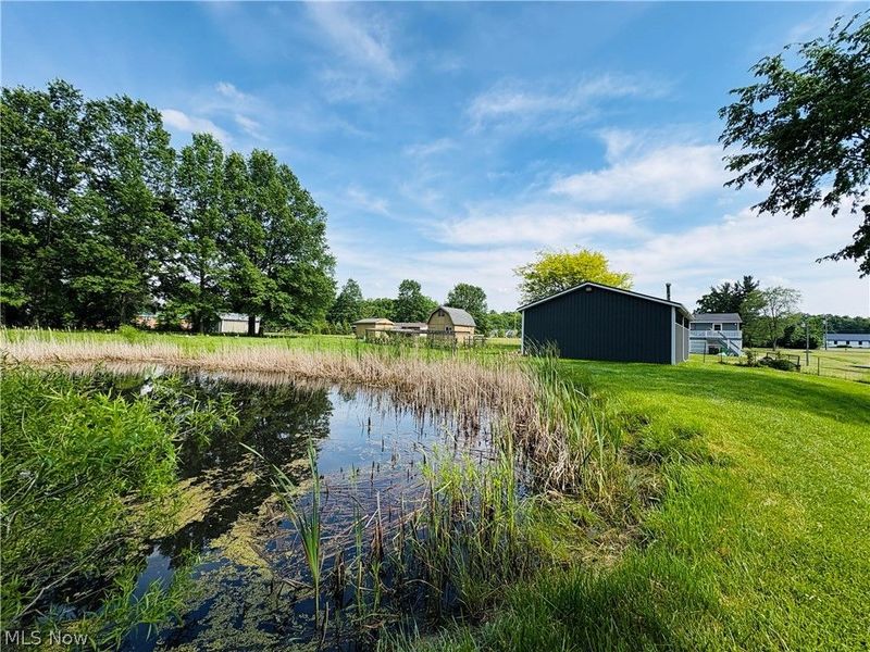 8591 Crow Road , Litchfield, OH 44253 Photo 18