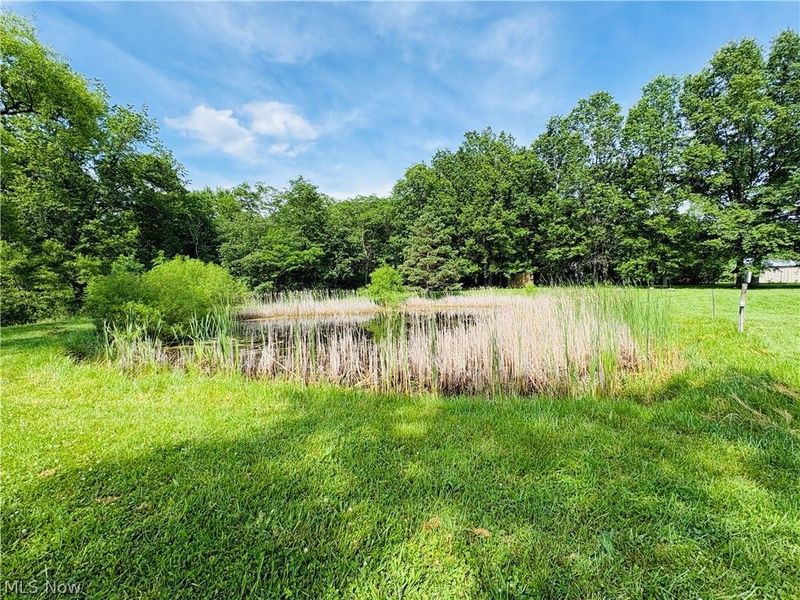 8591 Crow Road , Litchfield, OH 44253 Photo 26