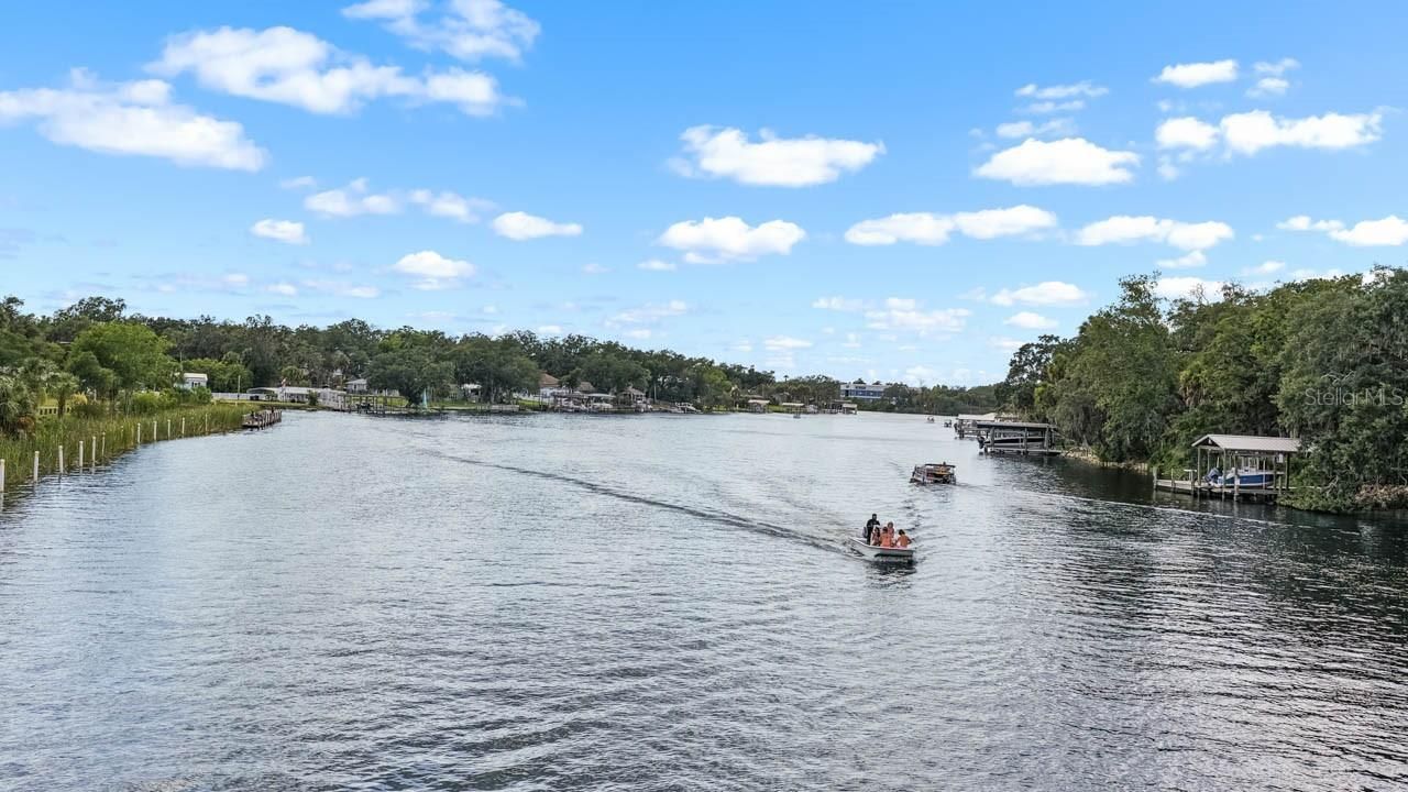 11511 Mcmullen Loop, Riverview, FL 33569 Photo