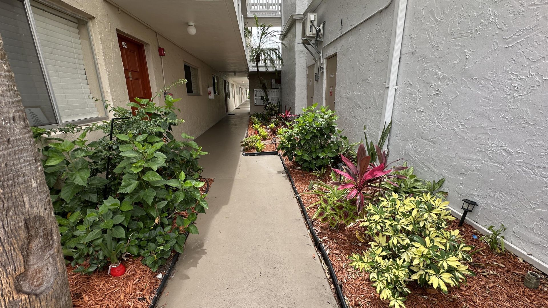 3601 Inverrary Drive, Unit 206, Lauderhill, FL 33319 Photo