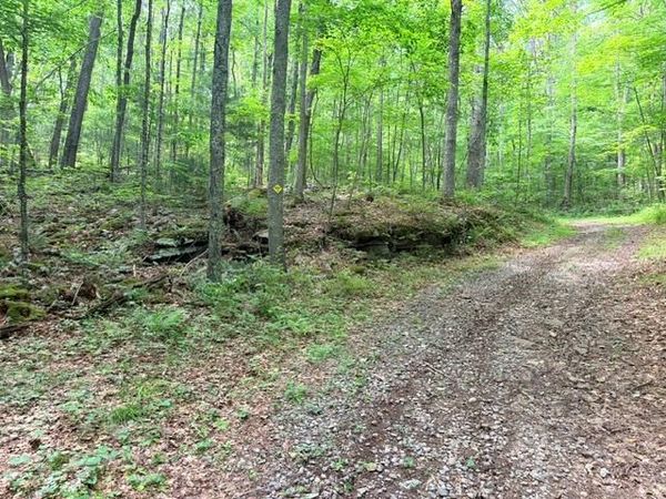 Molly Mann Rd, HINTON, WV 25951