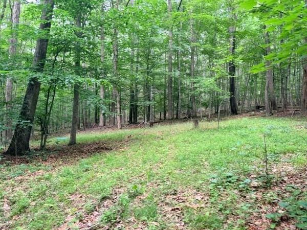 Molly Mann Rd, HINTON, WV 25951